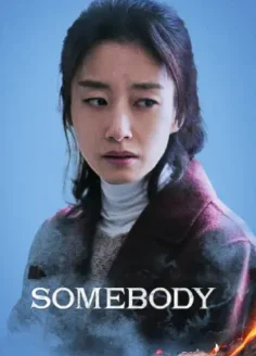 Somebody Filmy4WEB (2025) Hindi Dubbed AMZN